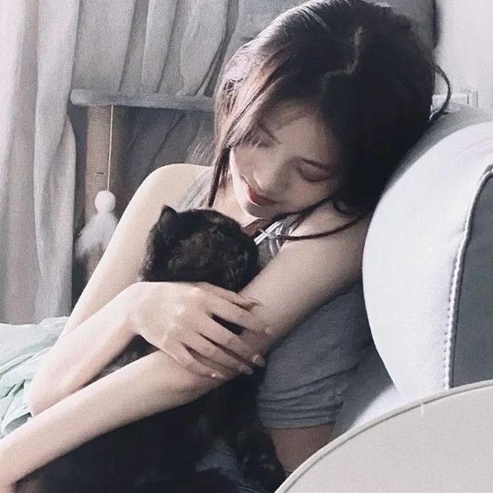 摇滚藏獒蓝色光芒